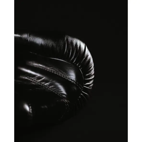 Guantes de Boxeo Omega 100% Cuero