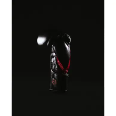 Guantes de Boxeo Omega 100% Cuero - 5
