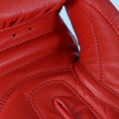 Guantes de Boxeo Competición Amateur AIBA Adidas - 2