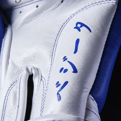 Guantes de Boxeo Dragon Ball Z Vegeta - Edición Limitada Elion - 8