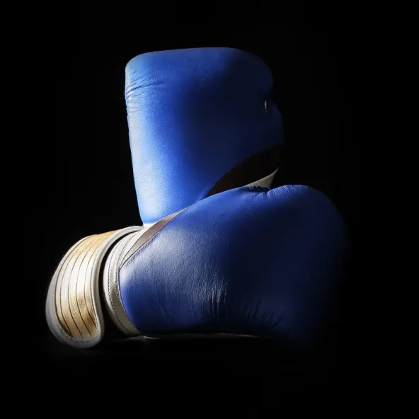 Guantes de Boxeo Dragon Ball Z Vegeta - Edición Limitada Elion