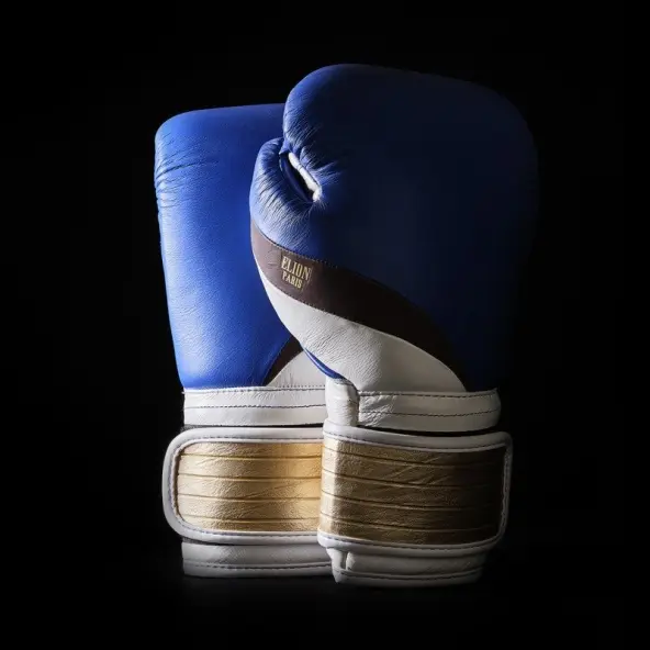 Guantes de Boxeo Dragon Ball Z Vegeta - Edición Limitada Elion