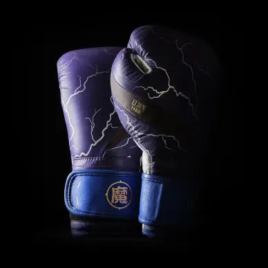 Guantes de Boxeo Dragon Ball Z Gohan - Edición Limitada Elion - 14