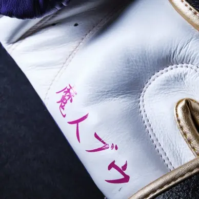 Guantes de Boxeo Dragon Ball Z Majin Buu - Edición Limitada Elion - 12