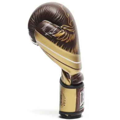 Guantes de Boxeo Leone Legionarius - 1