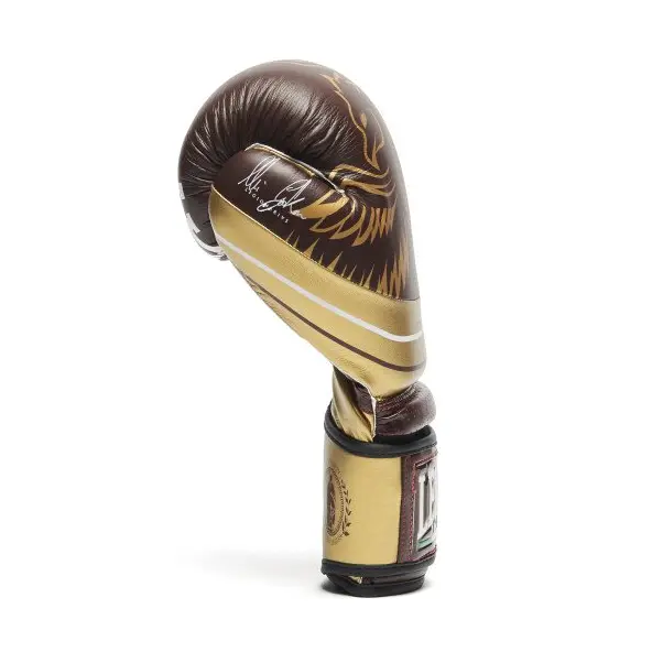 Guantes de Boxeo Leone Legionarius