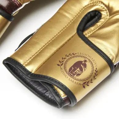 Guantes de Boxeo Leone Legionarius - 2