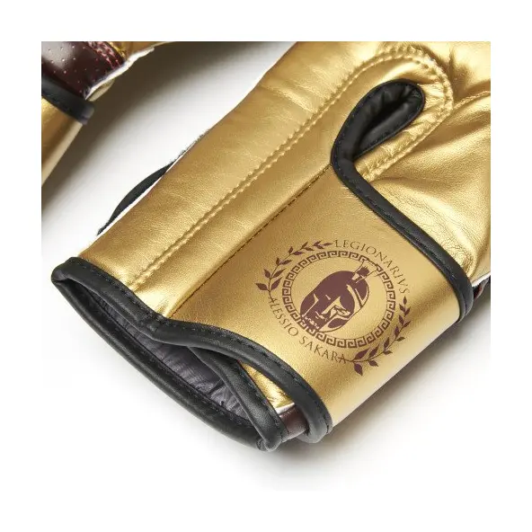 Guantes de Boxeo Leone Legionarius