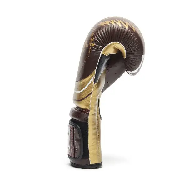 Guantes de Boxeo Leone Legionarius