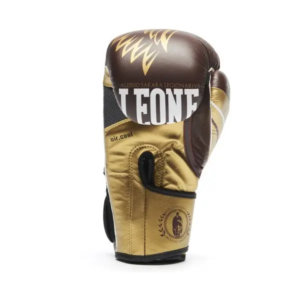 Guantes de Boxeo Leone Legionarius