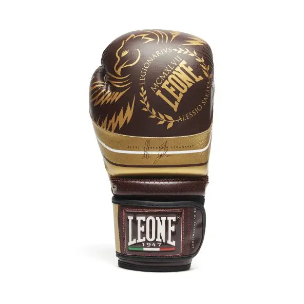 Guantes de Boxeo Leone Legionarius