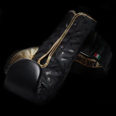 Guantes de Boxeo Leone DNA 100% Cuero - 2