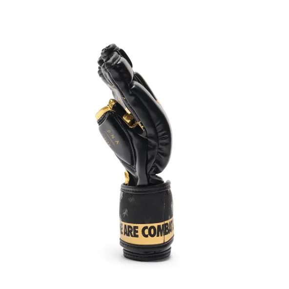 Guantes de MMA Leone DNA