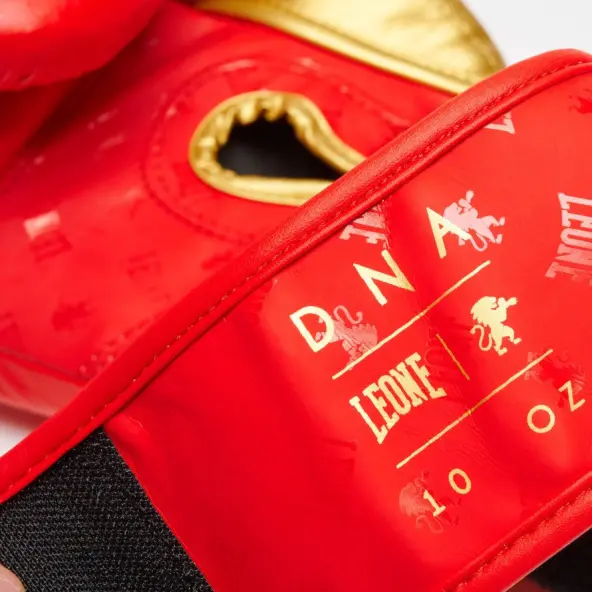Guantes de Boxeo Leone DNA 100% Cuero
