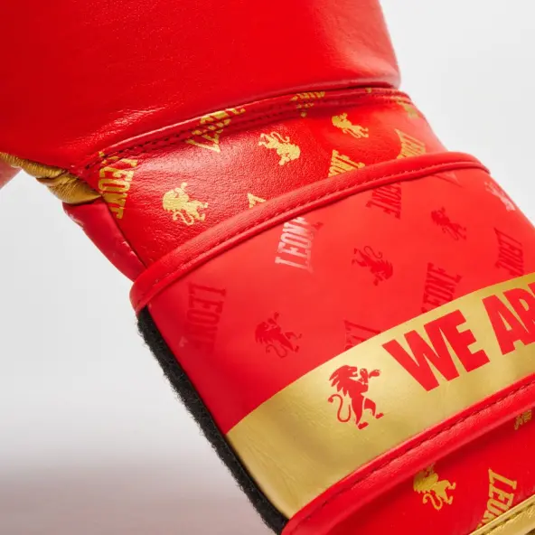 Guantes de Boxeo Leone DNA 100% Cuero