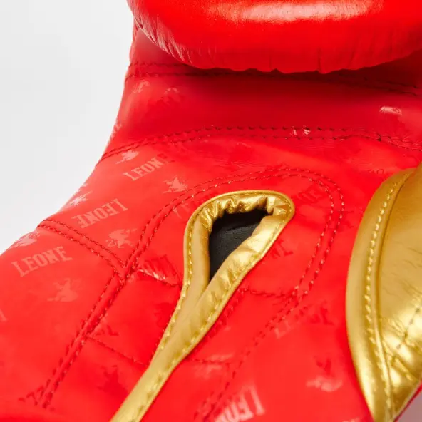 Guantes de Boxeo Leone DNA 100% Cuero