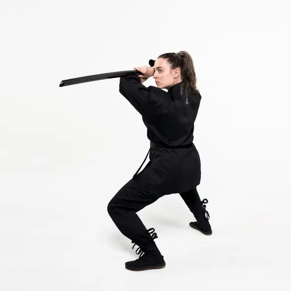 Conjunto de Entrenamiento Ninja