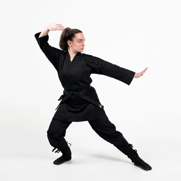 Conjunto de Entrenamiento Ninja