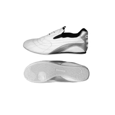 Zapatos de Taekwondo