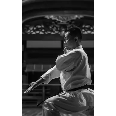 Kimono de kárate Tokaido Master Pro corte kata hecho en Japón - 5