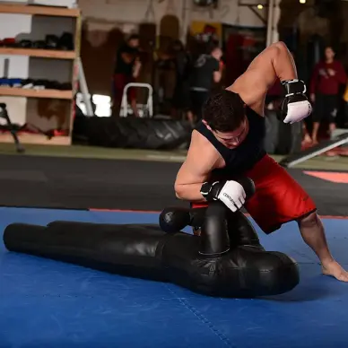 Saco de boxeo y maniquí de grappling Vador Budo-Fight - 9