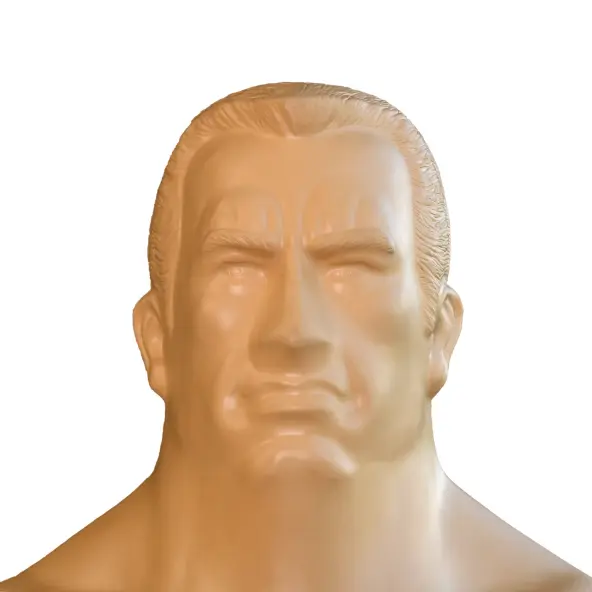 Maniquí de Golpeo BudoMan