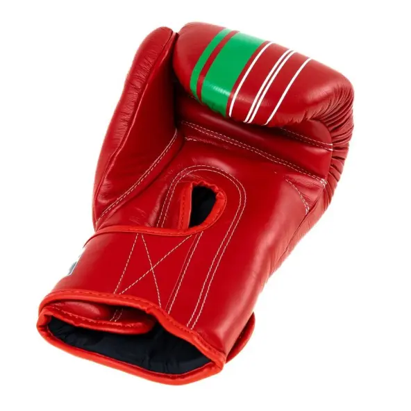 Guantes de boxeo Booster BGVL V9 Marocco Series