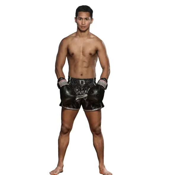 Guantes de boxeo Booster BGVL V3 Series