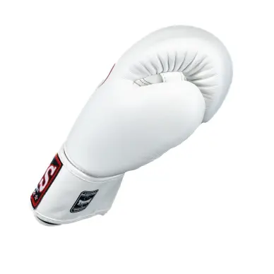 Guantes de Boxeo Twins BG-N V2