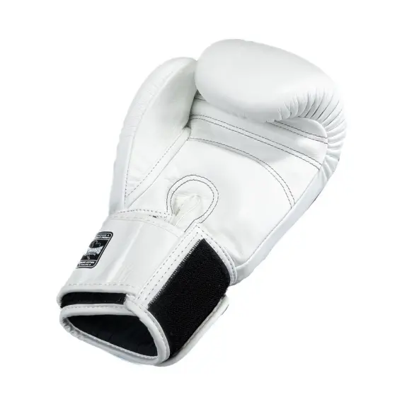 Guantes de Boxeo Twins BG-N V2