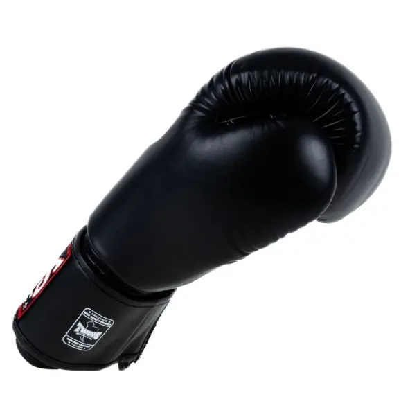 Guantes de Boxeo Twins BG-N V2