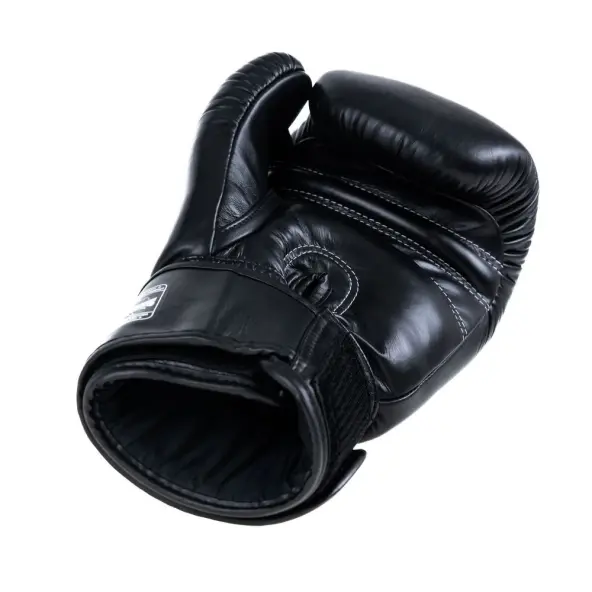 Guantes de Boxeo Twins BG-N V2