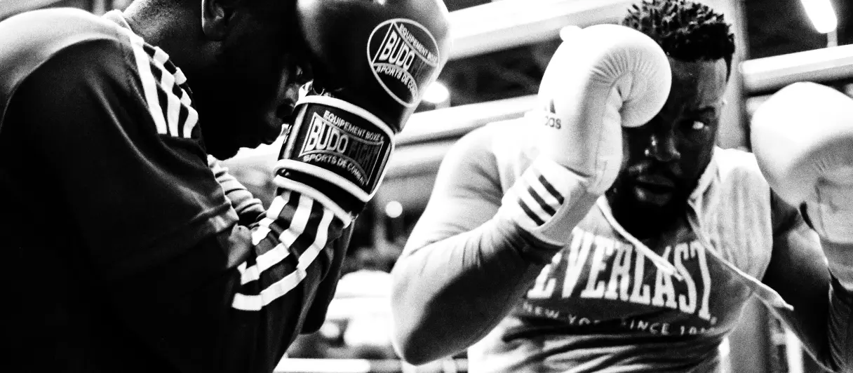 Guantes de boxeo
