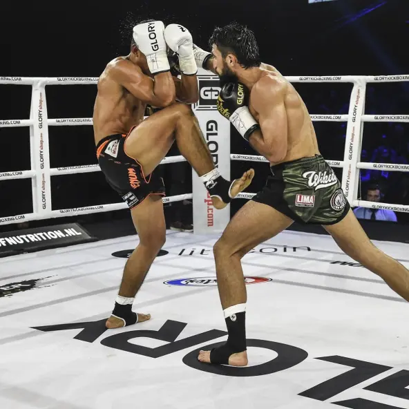 Guantes de Boxeo Fairtex X Glory FXV3
