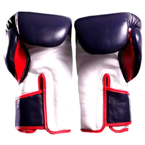 Guantes de boxeo Fairtex FXV6