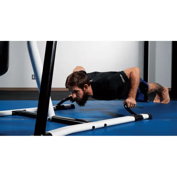 Estructura para saco de boxeo y fitness Century