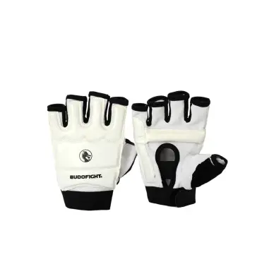 gant-taekwondo-1-1398428637