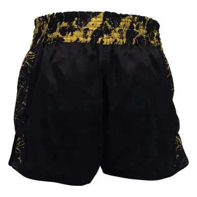 Short Boxe Thai TBT Pro 4.33 - 3