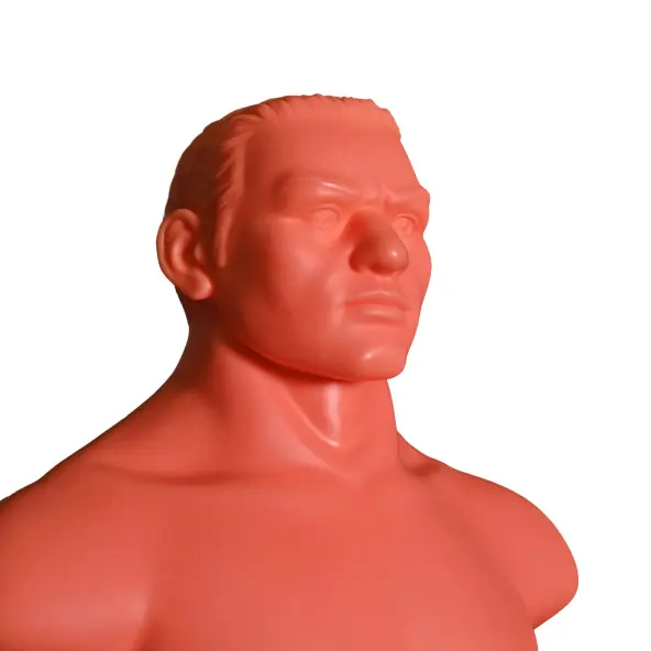 Maniquí de Golpeo BudoMan XL