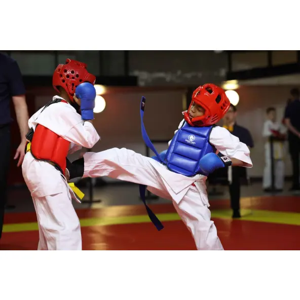 Peto de Karate reversible FFK