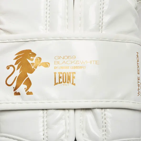 Guantes de boxeo Leone vintage