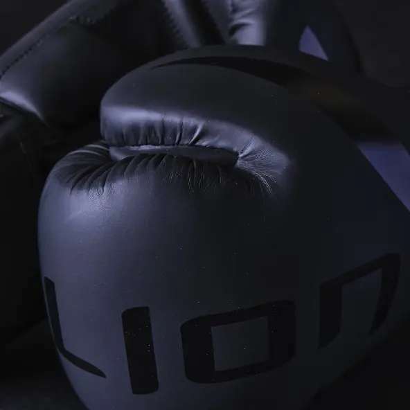 Guantes de Boxeo de Entrenamiento Elion Extravagant
