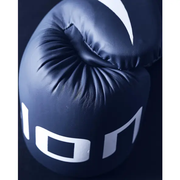 Guantes de Boxeo de Entrenamiento Elion Extravagant
