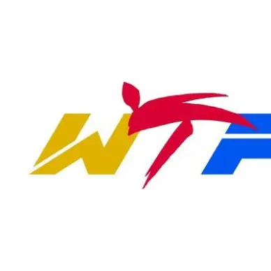 Mitones Taekwondo WTF - 9
