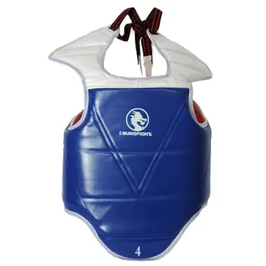 plastron-taekwondo-reversible-ho-goo-2-1398428183