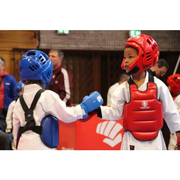 Peto de Karate reversible FFK