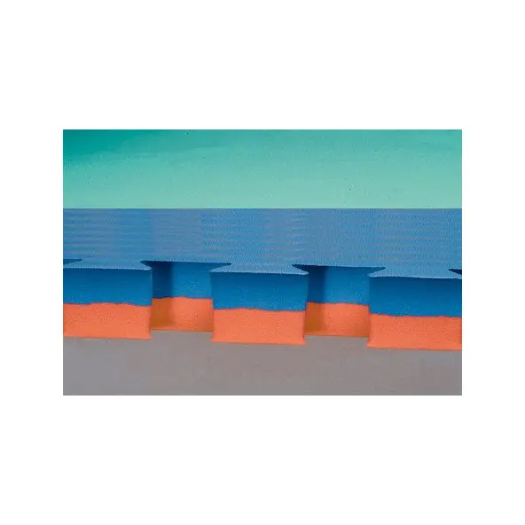 Tatami Puzzle Judo