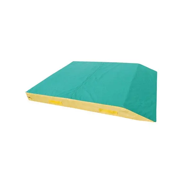 Nage Komi Special Judo en Bisel 250x200x20cm