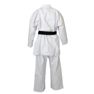 kimono-kaiten-europa-1-1415891300
