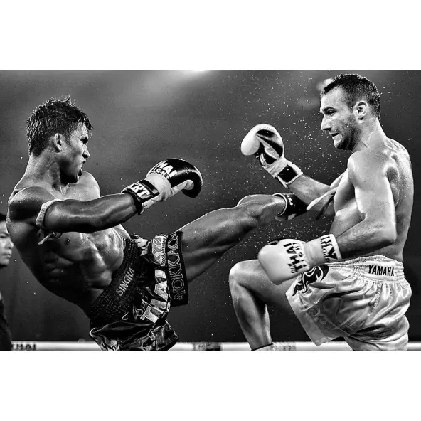 Guantes Thai Fight